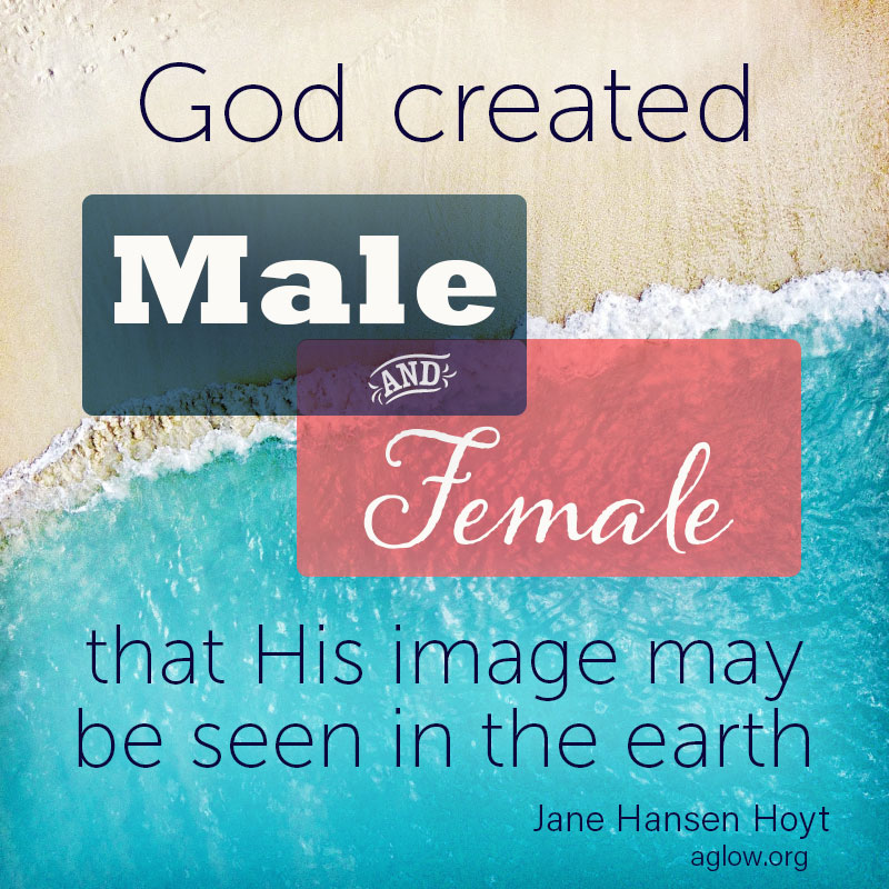 God created male and female that His image may be seen in the earth.