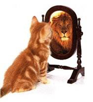Kitten looking into a mirror seeing a lion reflection