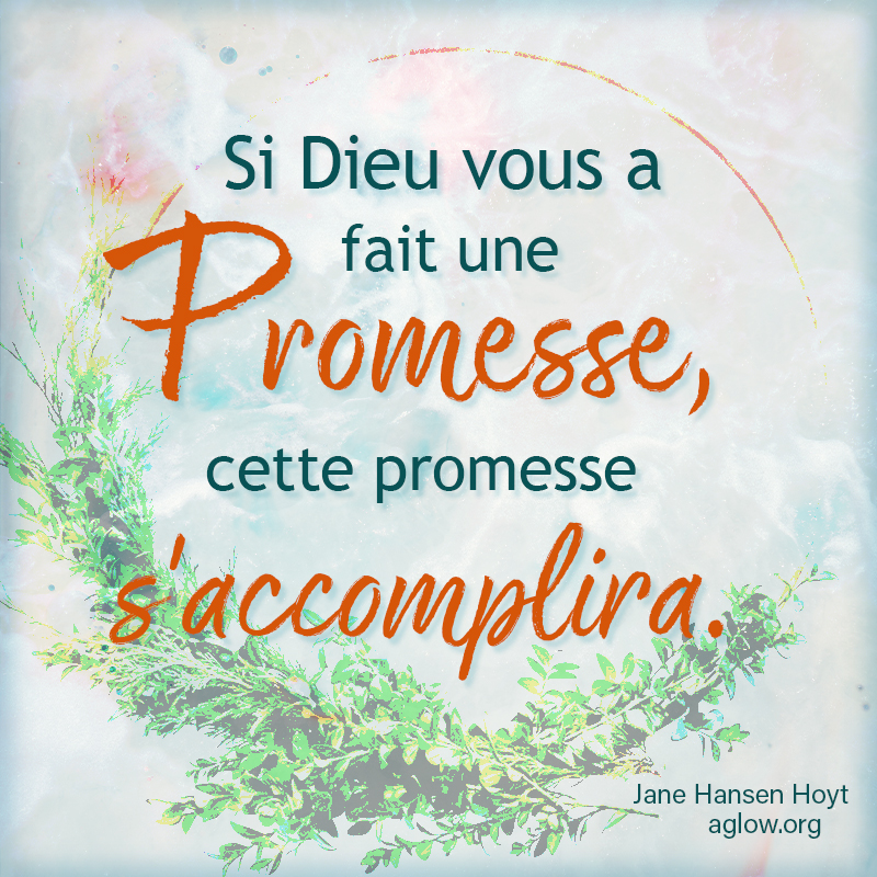 promise-FR