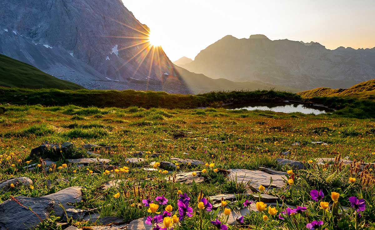 His Mercies Are New Every Morning