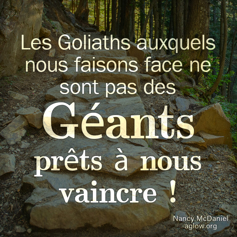 stepping-stones-FR