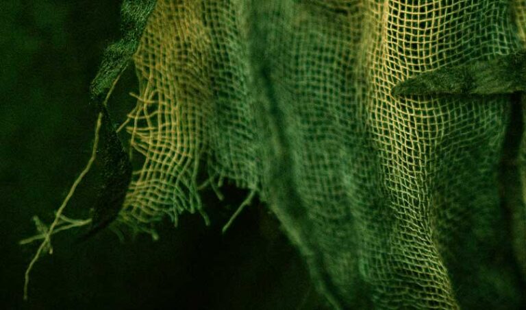 Thread Pulled, Garment Unraveled